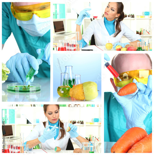 Photo: Genetic engineering laboratory. GMO food concept Genetic engineering laboratory. GMO food concept