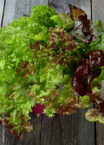 Photo: Mixed Lettuce Mixed Lettuce