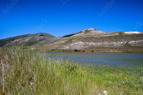 Photo: Castelluccio di norcia Castelluccio di norcia