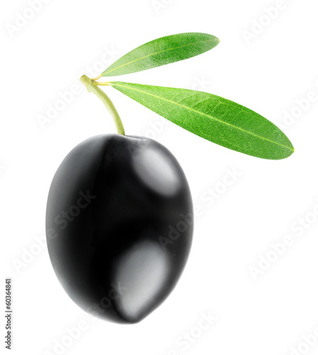 Photo: One black olive isolated on white One black olive isolated on white