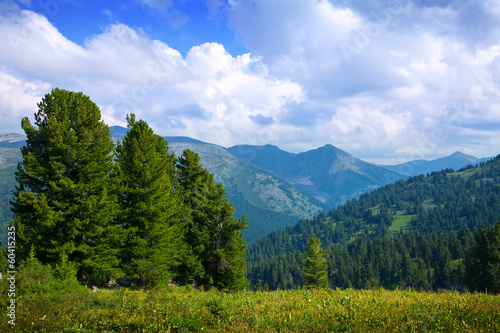 Photo: Landscape with forest mountains Landscape with forest mountains