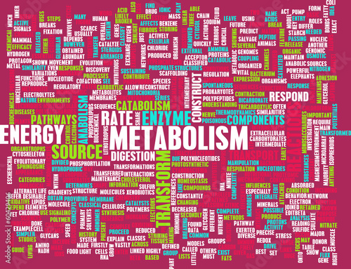 Illustration: Metabolism Metabolism