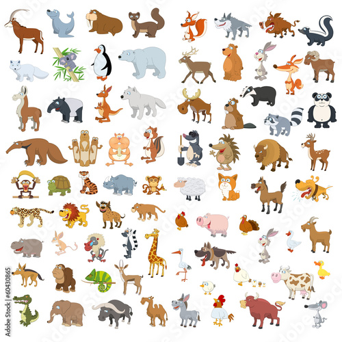 Vector: Extra big animals and birds set Extra big animals and birds set