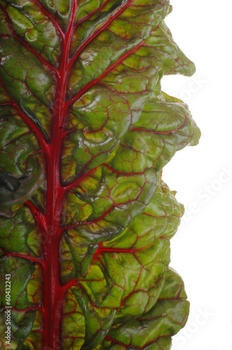 Photo: beet leaves. beet leaves.