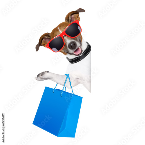 Photo: shopaholic shopping dog shopaholic shopping dog