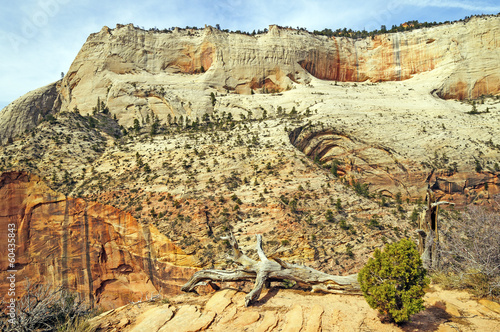 Photo: Sandstone cliffs in the Desert Southwest Sandstone cliffs in the Desert Southwest