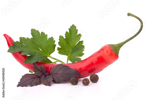 Photo: Hot red chili or chilli pepper and aromatic herbs leaves still l Hot red chili or chilli pepper and aromatic herbs leaves still l