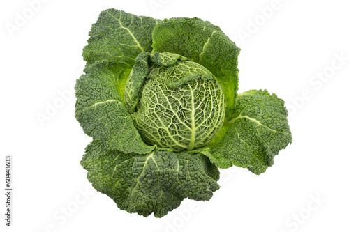 Photo: Green Savoy cabbage on a white background. Green Savoy cabbage on a white background.