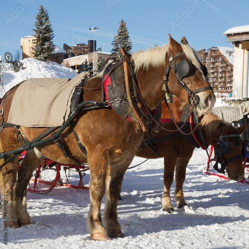 Photo: Come take a ride Come take a ride