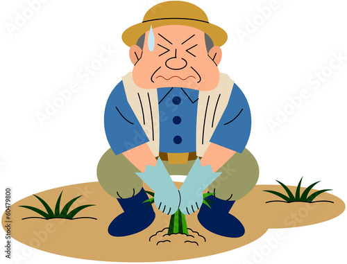 Illustration: 草取りの男性 草取りの男性