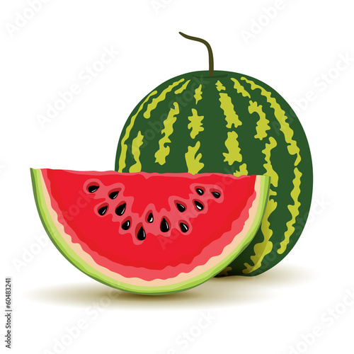 Vector: Slice and watermelon in vector Slice and watermelon in vector