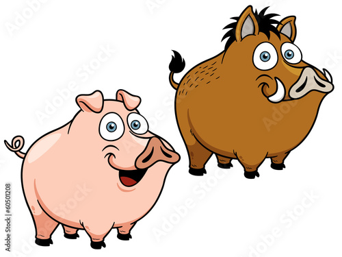 Vector: Vector illustration of cartoon pig Vector illustration of cartoon pig
