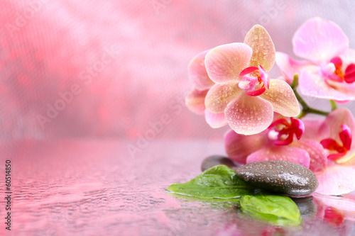 Photo: Composition with beautiful blooming orchid with water drops and Composition with beautiful blooming orchid with water drops and