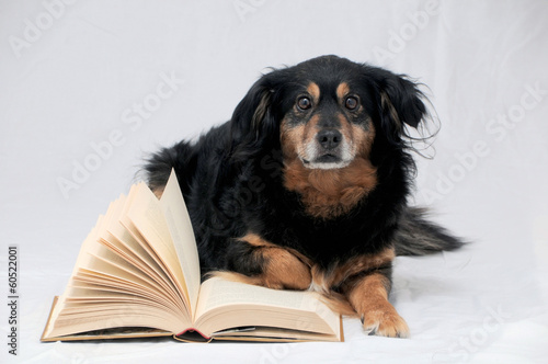 Photo: Reading Dog Reading Dog