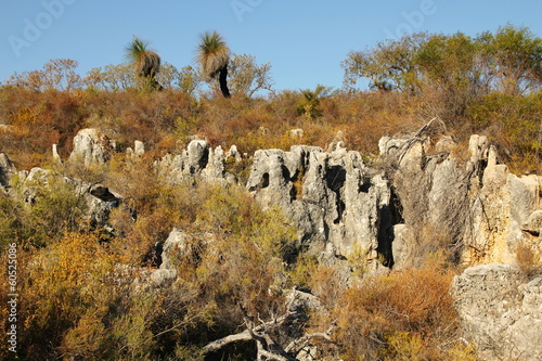 Photo: Australian karst Australian karst