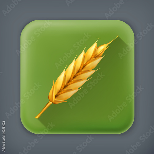 Vector: Wheat, long shadow vector icon Wheat, long shadow vector icon