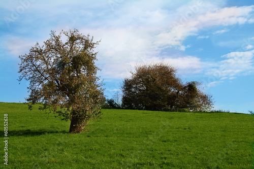 Photo: paysage paysage
