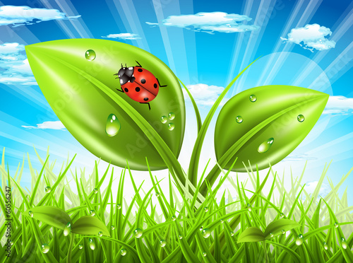 Vector: Landscape Landscape