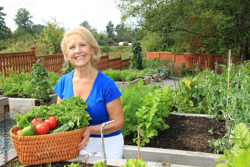 Photo: Senior gardener and vegetables. Senior gardener and vegetables.