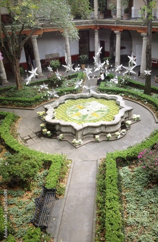 Instant Collection: the garden the garden
