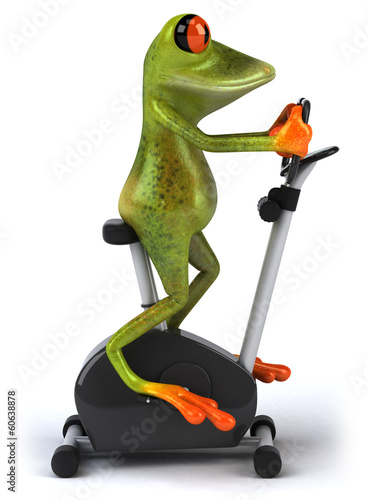 Photo: Frog Frog
