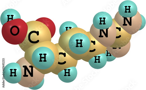 Illustration: Arginine molecular structure on white background Arginine molecular structure on white background