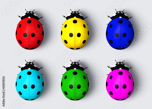 Illustration: Colored ladybugs Colored ladybugs