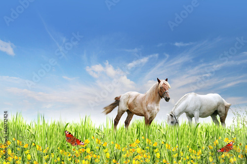 Photo: beautiful spring background beautiful spring background