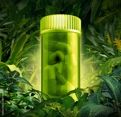 Illustration: Medicinal Plants Medicinal Plants