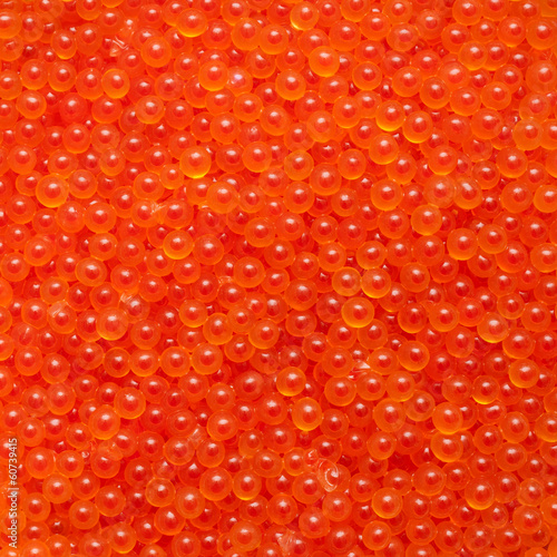 Photo: Closeup image of fresh salmon roe caviar Closeup image of fresh salmon roe caviar