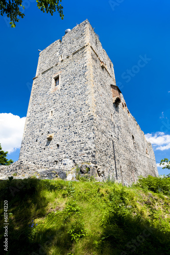 Photo: ruins of Radyne Castle, Czech Republic ruins of Radyne Castle, Czech Republic