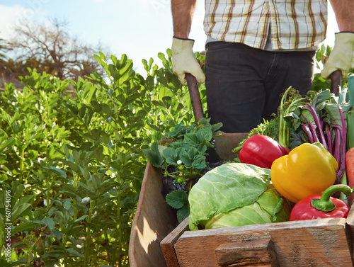 Photo: Farmer on local sustainable organic farm Farmer on local sustainable organic farm