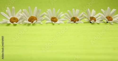 Photo: Blumen Blumen