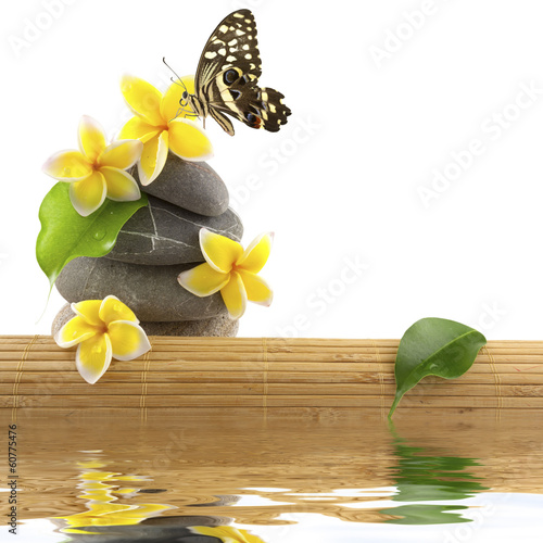 Illustration: composition nature relax, bambou, galets, papillon composition nature relax, bambou, galets, papillon