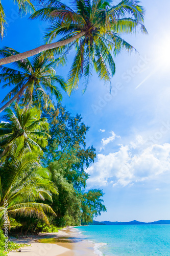 Photo: beautiful beach and tropical sea beautiful beach and tropical sea