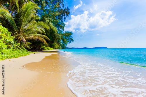 Photo: beautiful beach and tropical sea beautiful beach and tropical sea
