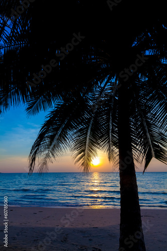 Photo: Tropical beach Tropical beach