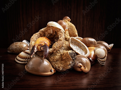Photo: Sea leftovers Sea leftovers