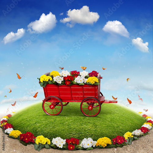 Photo: flowerbed flowerbed