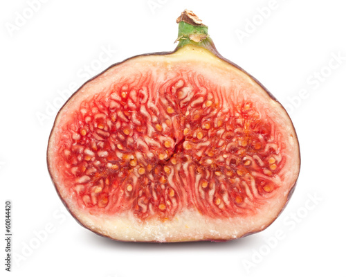 Photo: Fig Fig