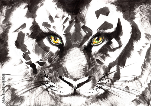 Illustration: tiger tiger