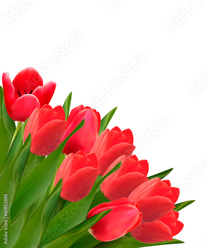 Vector: Valentine's day background. Beautiful tulip flowers. Vector Valentine's day background. Beautiful tulip flowers. Vector