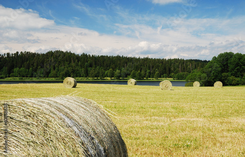 Photo: Gathered field with straw bales Gathered field with straw bales