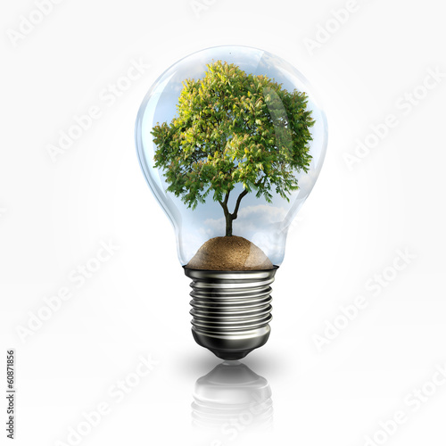 Photo: A light bulb with a tree inside A light bulb with a tree inside