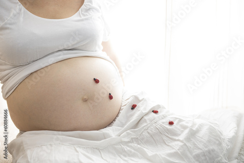 Photo: Babybauch mit Marienkäfern Babybauch mit Marienkäfern