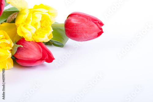 Photo: Tulpen und Narzissen Tulpen und Narzissen
