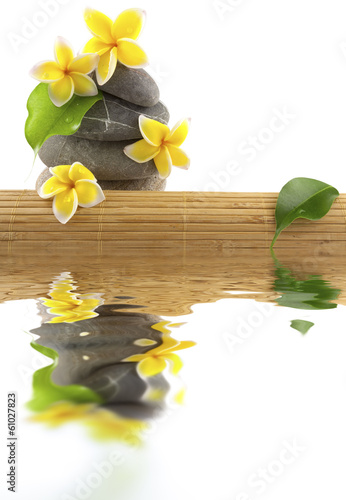 Photo: composition nature relax, bambou, galets, fleurs composition nature relax, bambou, galets, fleurs