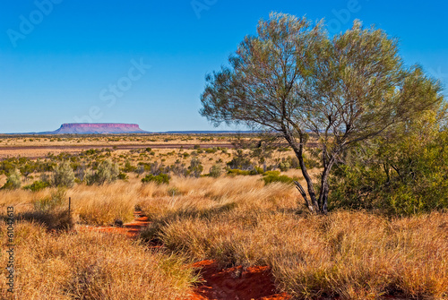 Photo: Australian bush (outback) Australian bush (outback)