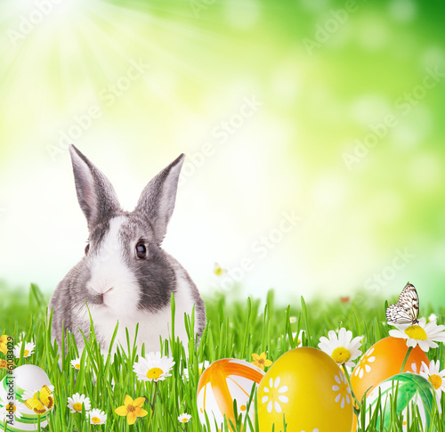 Photo: Easter rabbit in grass Easter rabbit in grass
