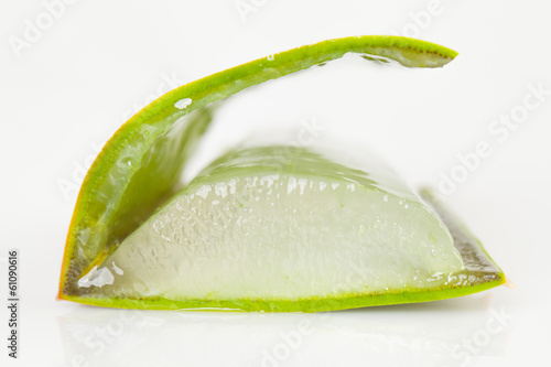 Photo: Cut of Aloe vera leaf. Cut of Aloe vera leaf.